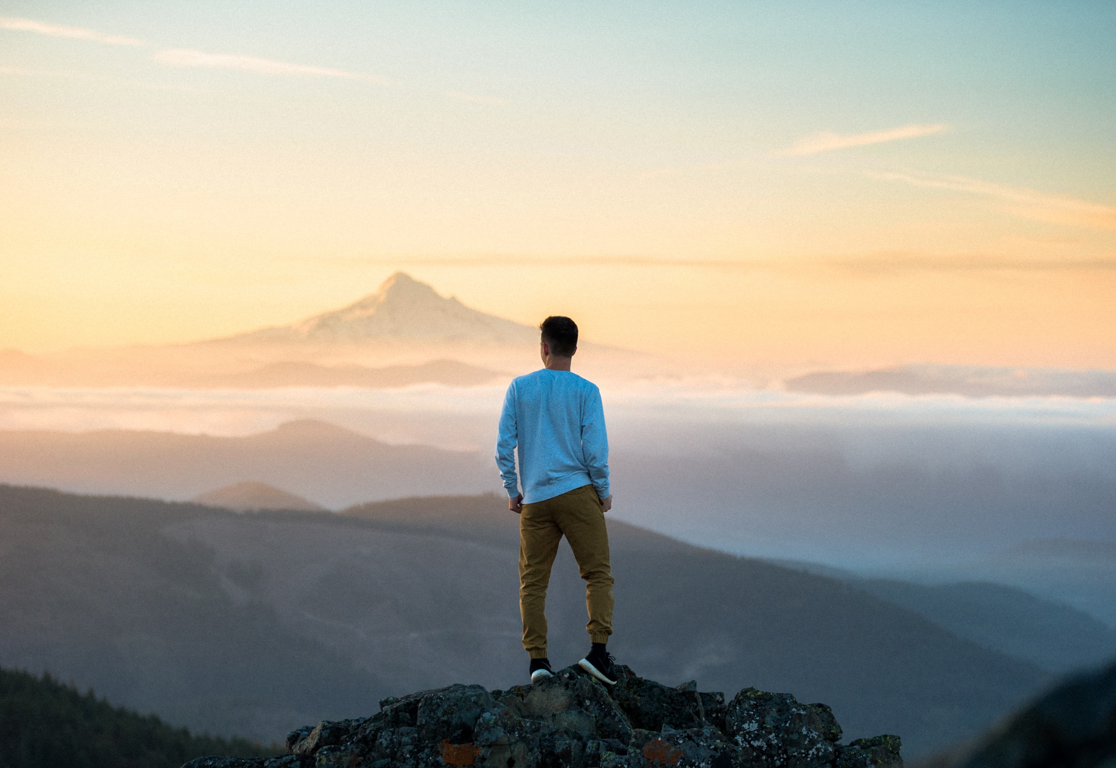 Accelerating Software Development with Low-Code/No-Code Solutions