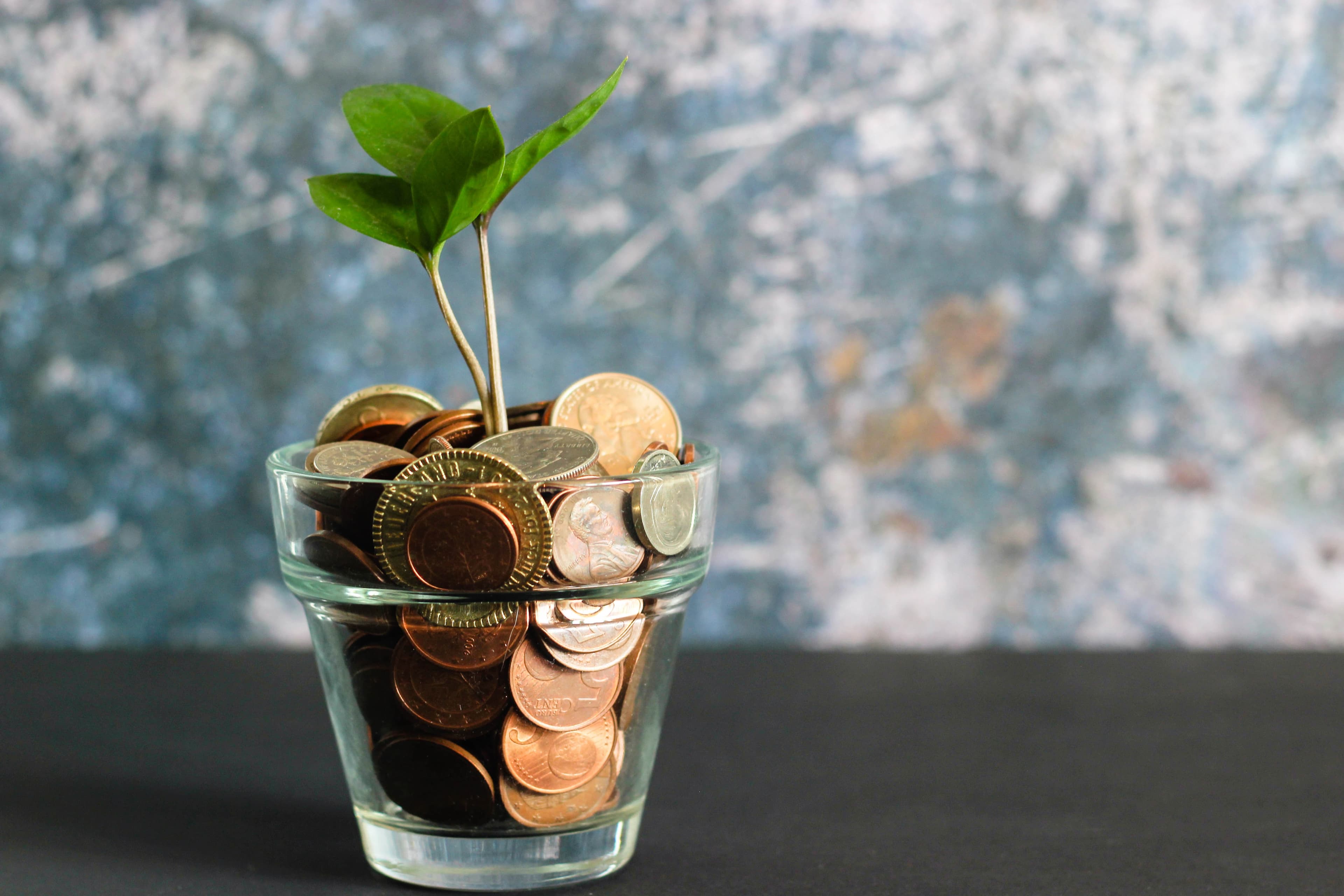 Incorporating Eco-Friendly Packaging Practices in Your Flower Shop